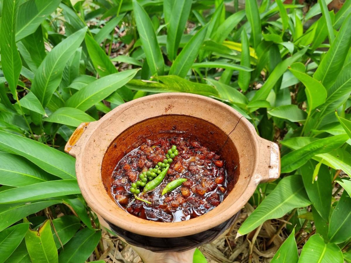 Ba Danh Homestay & Kitchen - Ben Tre Mekong Dış mekan fotoğraf