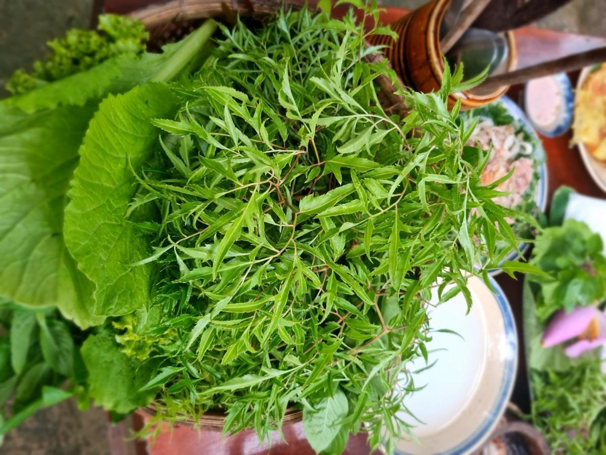 Ba Danh Homestay & Kitchen - Ben Tre Mekong Dış mekan fotoğraf