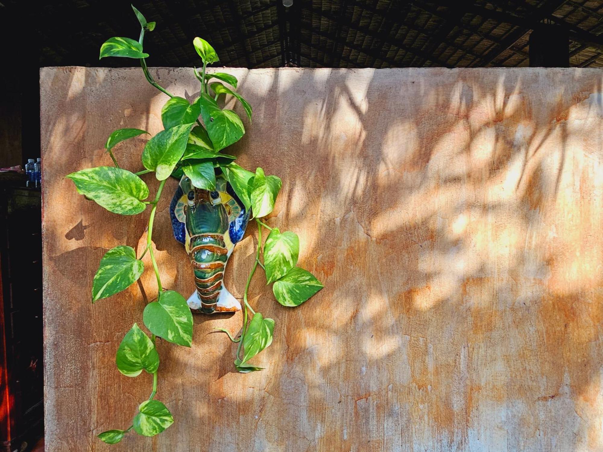 Ba Danh Homestay & Kitchen - Ben Tre Mekong Dış mekan fotoğraf