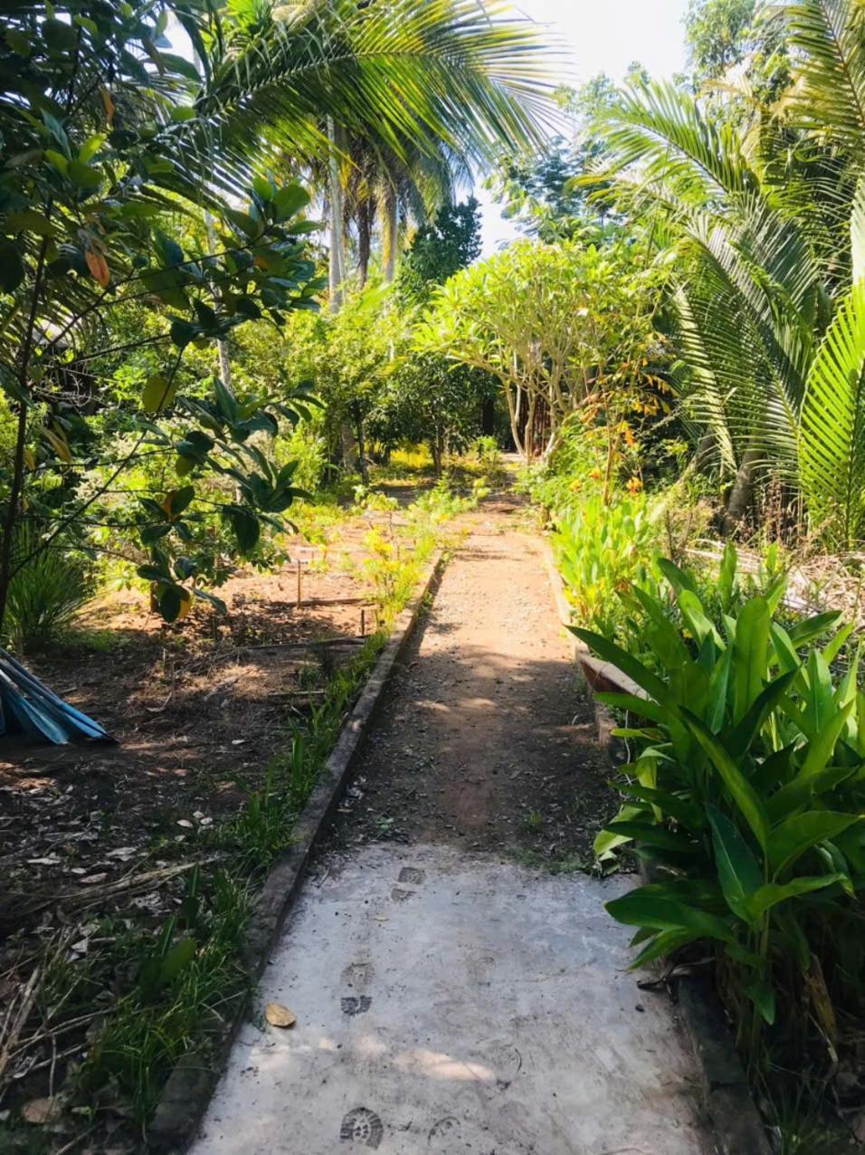 Ba Danh Homestay & Kitchen - Ben Tre Mekong Dış mekan fotoğraf