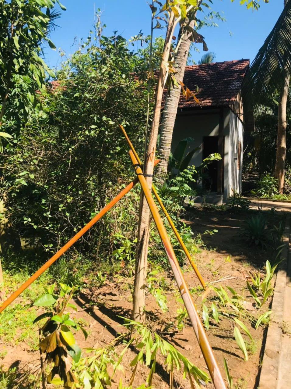 Ba Danh Homestay & Kitchen - Ben Tre Mekong Dış mekan fotoğraf